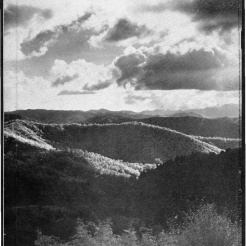 #19 Vol. II, No. 6 - 04.1944 Black Mountain College Bulletin. Courtesy of Western Regional Archives.