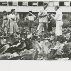 Black Mountain College: Fotografieunterricht mit Josef Albers, Lake Eden Campus, um 1944. © Courtesy of Western Regional Archives, States Archives of North Carolina